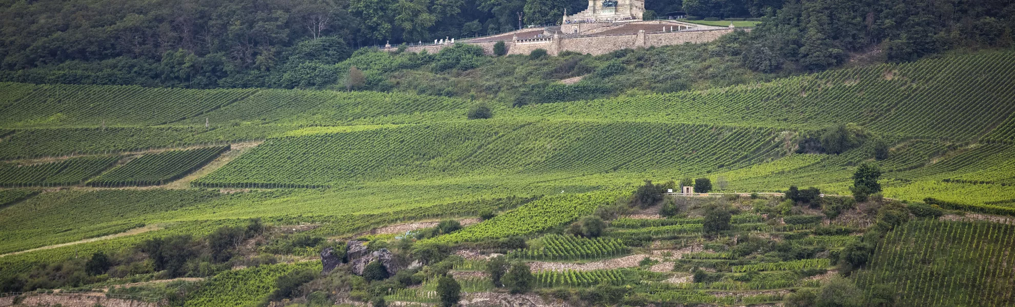 Niederwalddenkmal, Rüdesheim - © Holger Leue / www.leue-photo.com