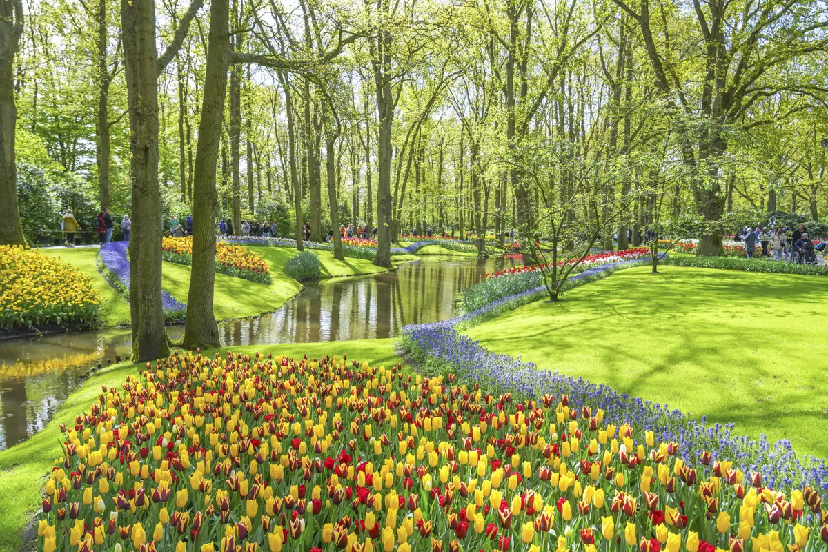 Keukenhof