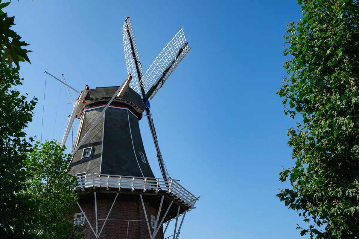 Mühle Adam in Delfzijl - © Corinne - stock.adobe.com