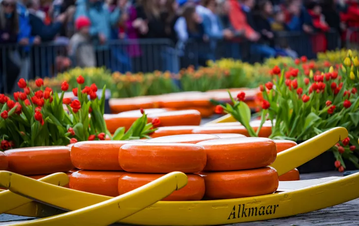 © Denis Feldmann - stock.adobe.com - Käsemarkt in Alkmaar