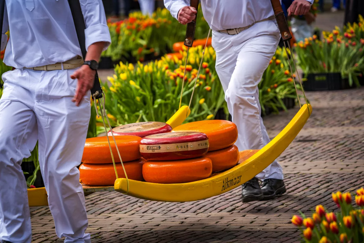 Käsemarkt in Alkmaar - © Denis Feldmann - stock.adobe.com