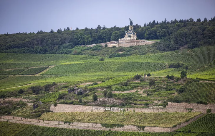 © Holger Leue / www.leue-photo.com - Niederwalddenkmal, Rüdesheim