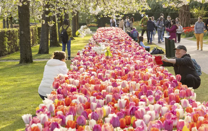 © Sven van der Vlugt Fotografie - Keukenhof