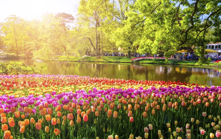 © Getty Images/iStockphoto - Keukenhof