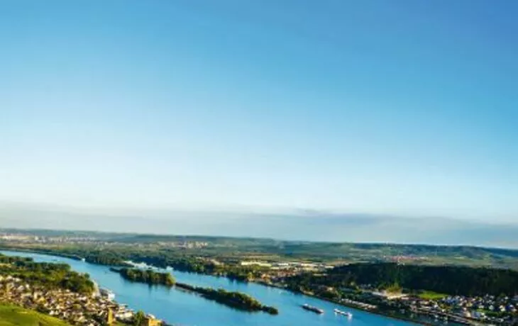 © CPN - Fotolia - La viticulture sur les rives du Rhin