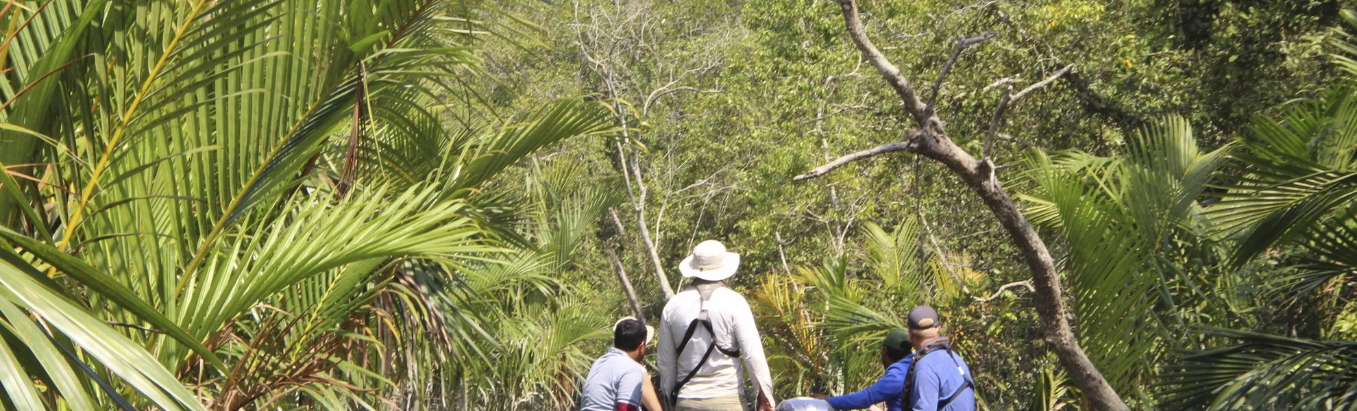 Sundarban, Bali Island - © 