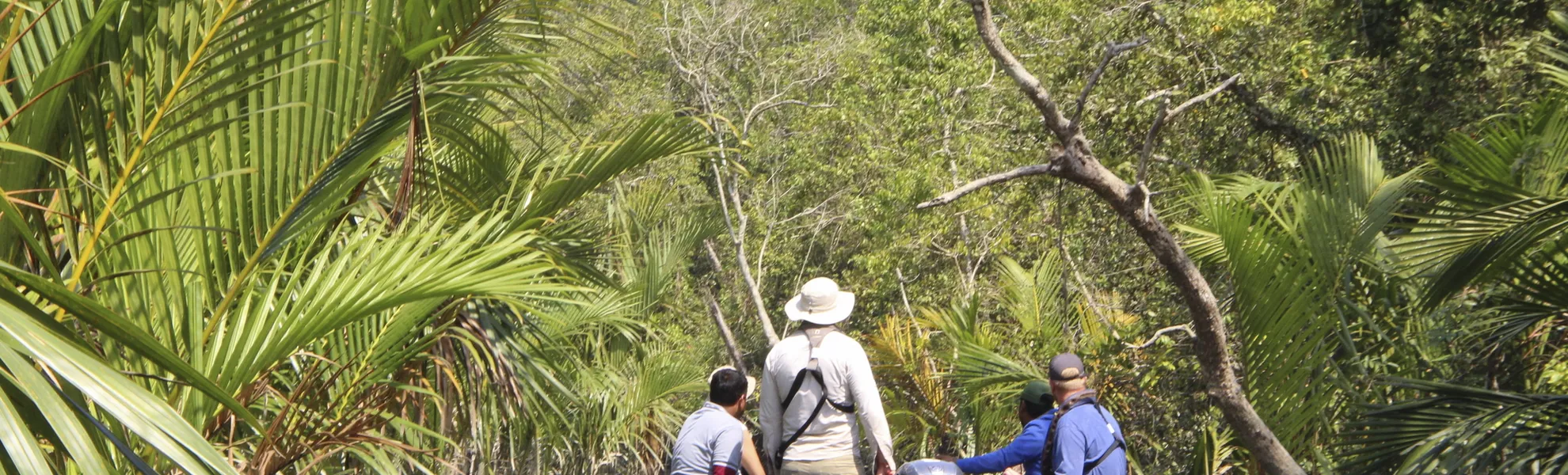 Sundarban, Bali Island - © 