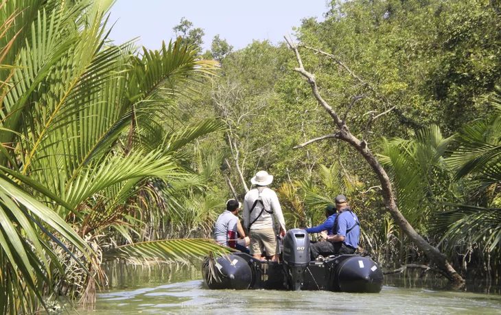 ©  - Sundarban, Bali Island