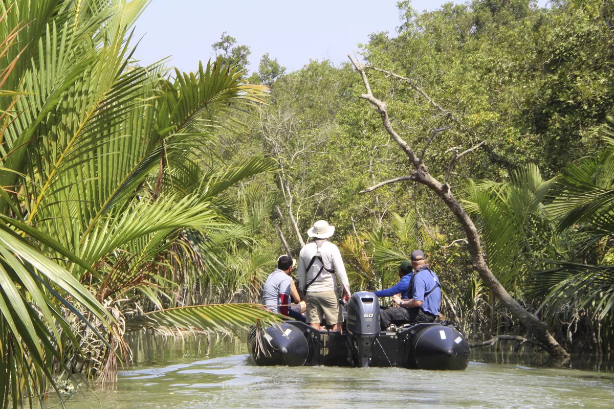 Sundarban, Bali Island - © 