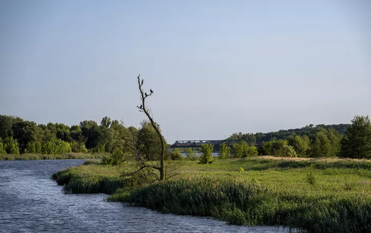 Entlang der Alten Oder