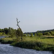 Entlang der Alten Oder