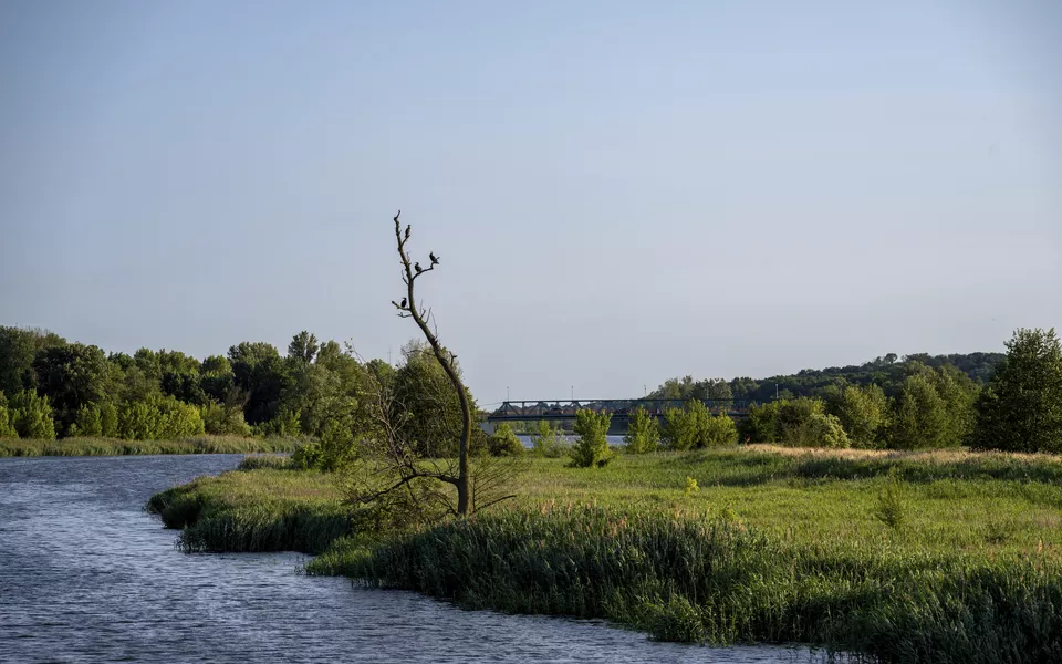 Entlang der Alten Oder