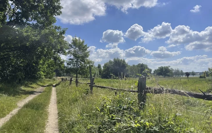 Wanderung bei Wolgast auf Usedom
