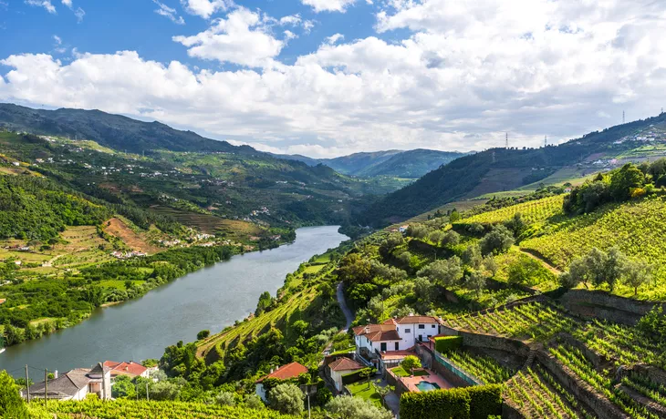© Simon Dannhauer - stock.adobe.com - Weinberge im Douro Tal