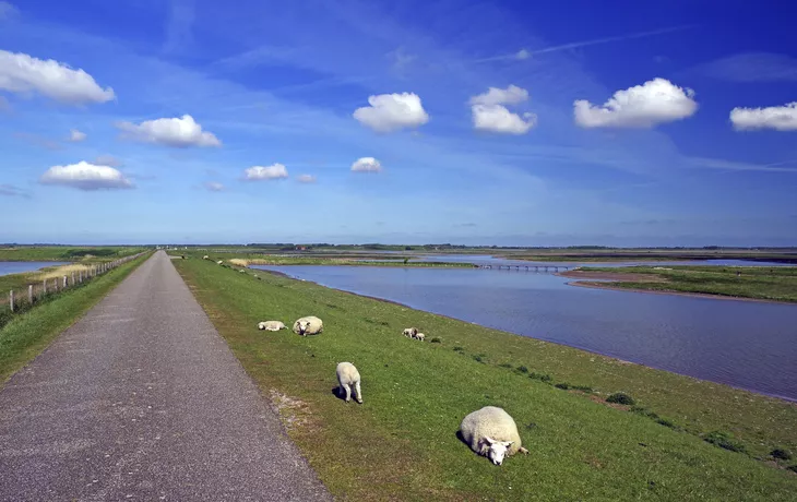 SE-Tours - Nationalpark Osterscheelde