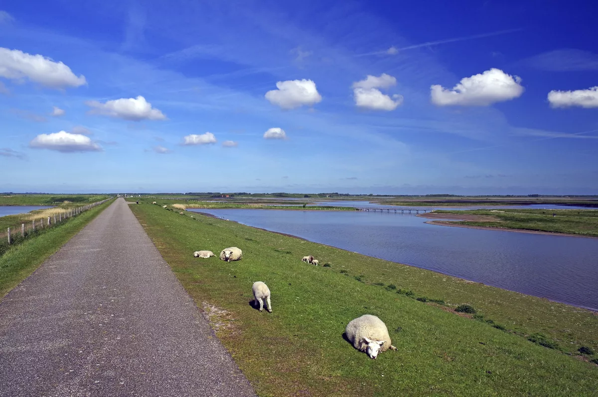Nationalpark Osterscheelde - SE-Tours