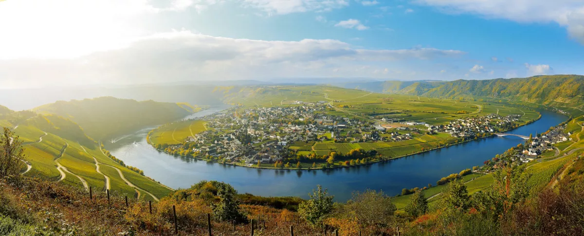 Mosel bei Piesport - © janmalburg - Fotolia