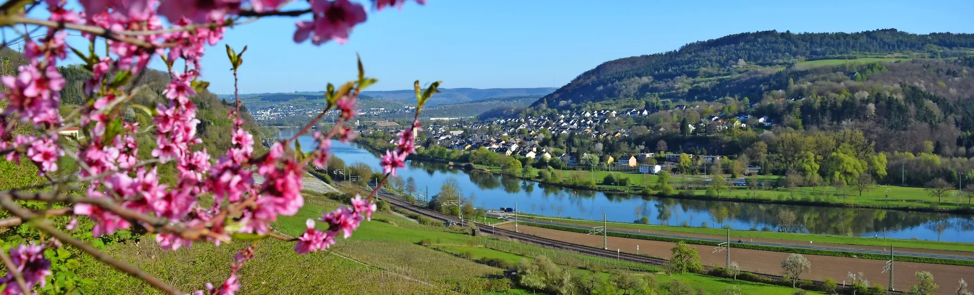 Mosel bei Wasserbillig - © Heinz&Brummel - stock.adobe.com