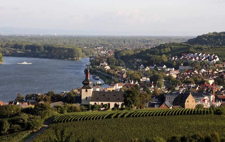 Rhein bei Nierstein - SE-Tours