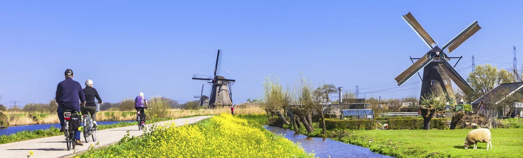 Velofahrt bei Kinderdijk - © Copyright (c) 2015 leoks/Shutterstock.  No use without permission.