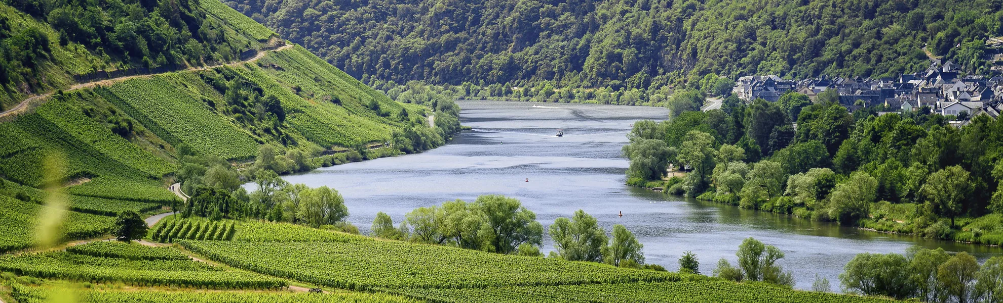 Mosel bei Traben-Trarbach