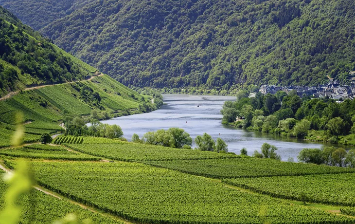 Mosel bei Traben-Trarbach