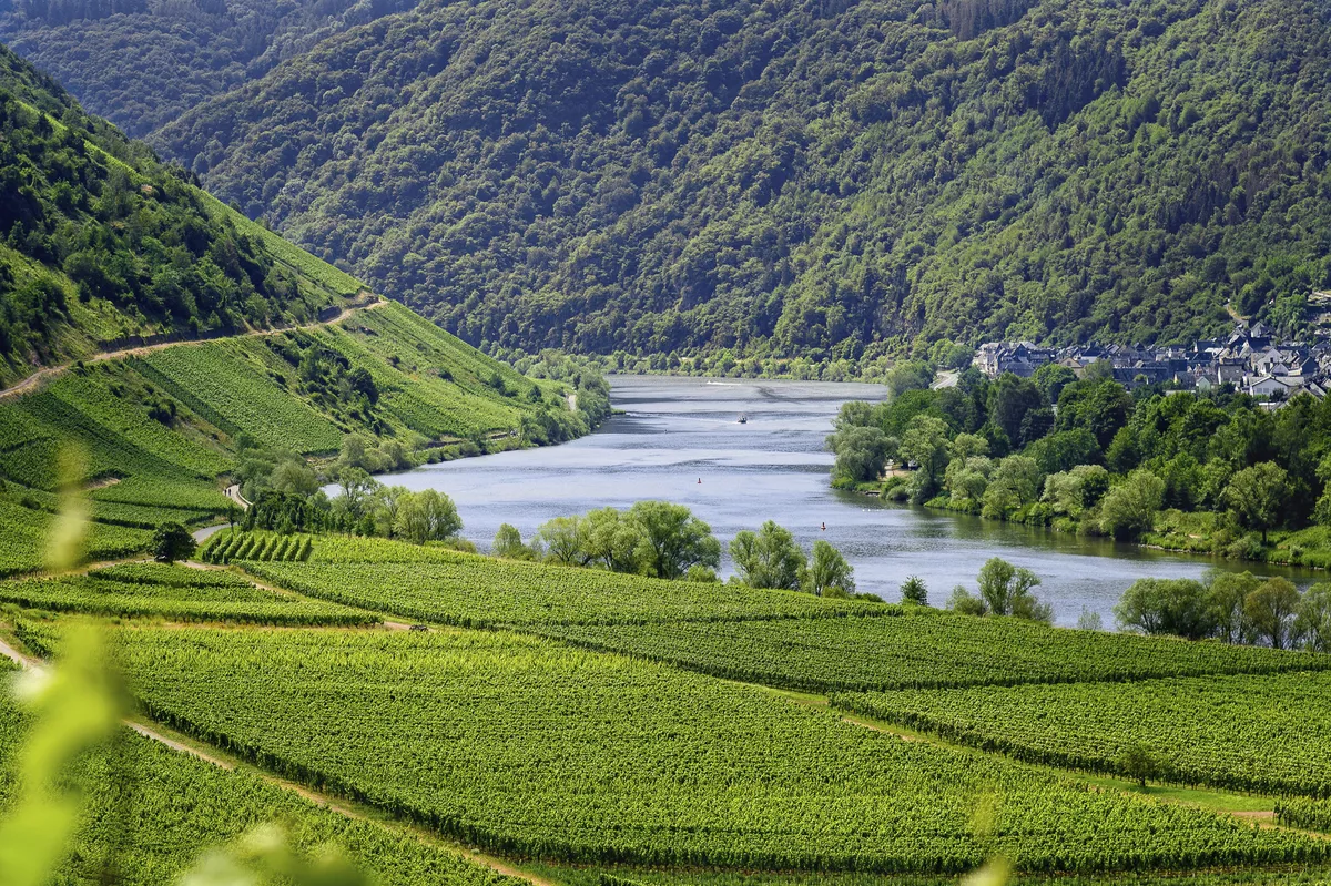 Mosel bei Traben-Trarbach