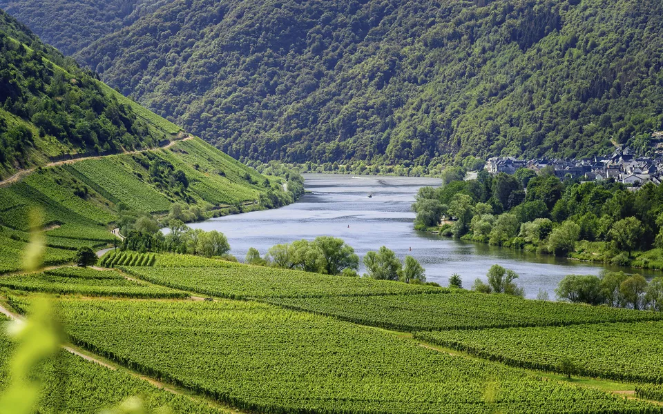 Mosel bei Traben-Trarbach
