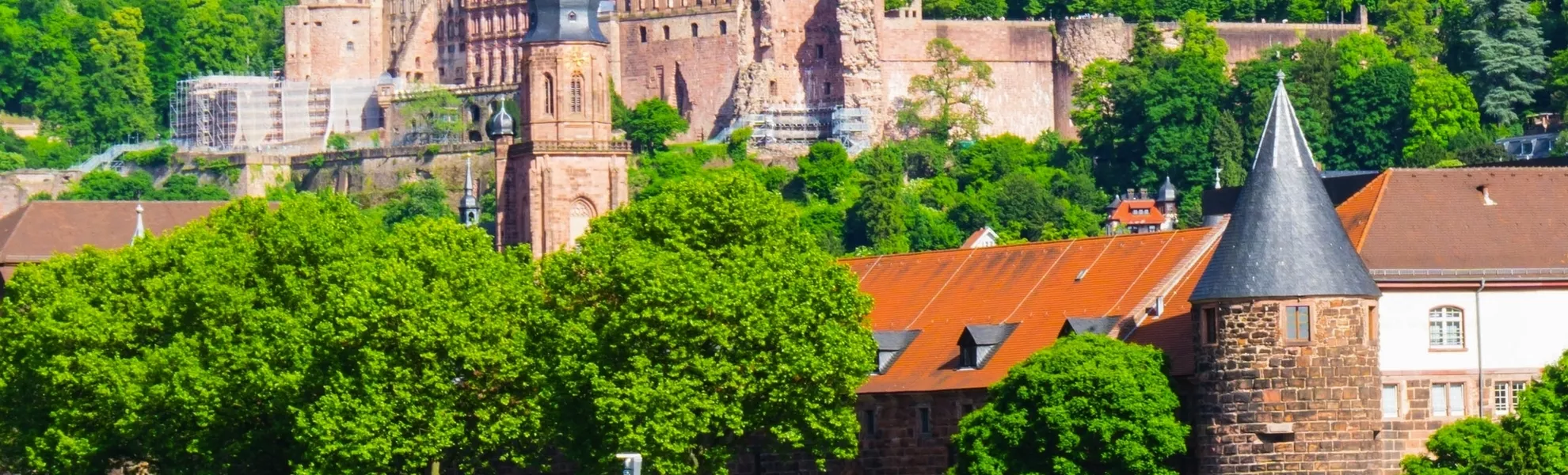 Schloss Heidelberg - © pusteflower9024 - stock.adobe.com