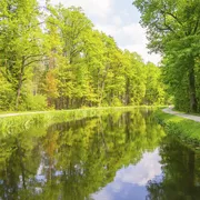 Radweg am historischen Ludwigskanal