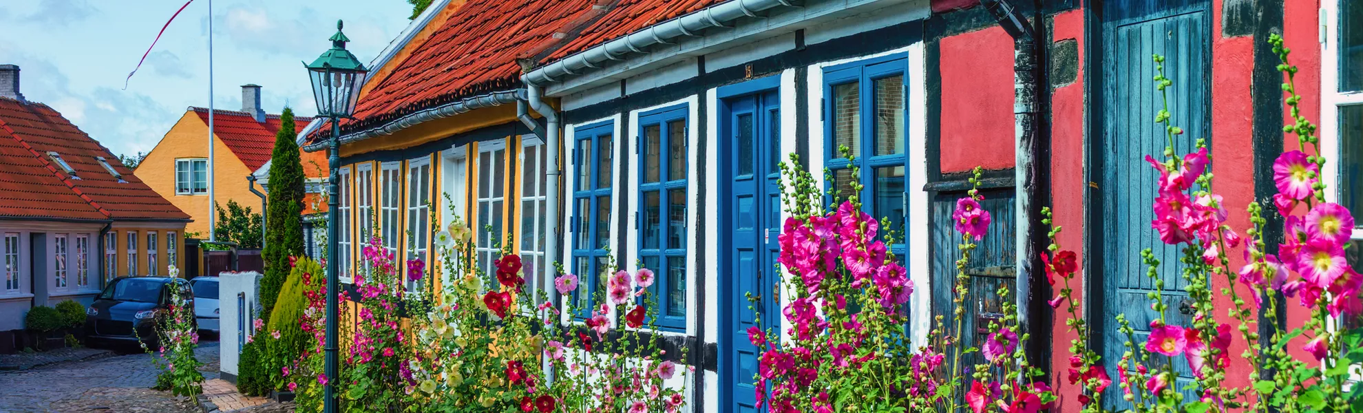 Straßen der Stadt Rönne auf der dänischen Insel Bornholm sind von bunten Stockrosenblüten gesäumt - © Nimbus Works - stock.adobe.com