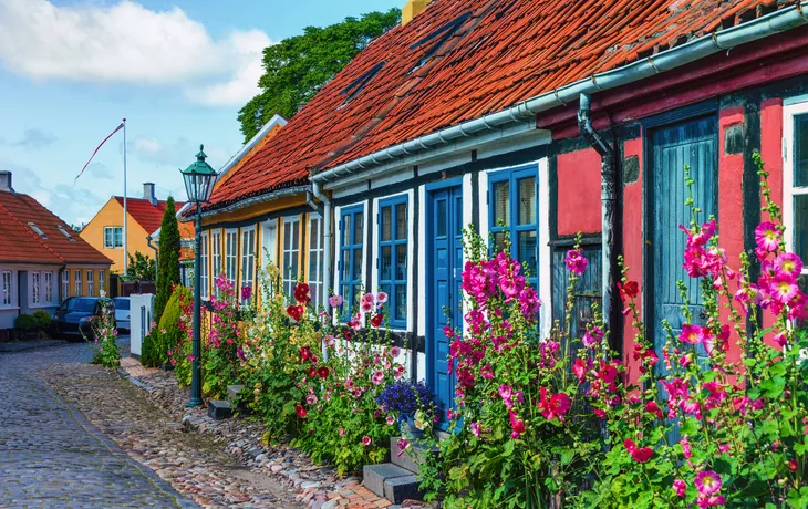 © Nimbus Works - stock.adobe.com - Straßen der Stadt Rönne auf der dänischen Insel Bornholm sind von bunten Stockrosenblüten gesäumt