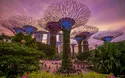 © Richie Chan - stock.adobe.com