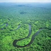 Amazonas Regenwald
