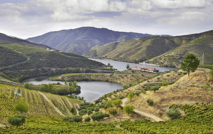 © shutterstock_217828126 - Vallée du Douro