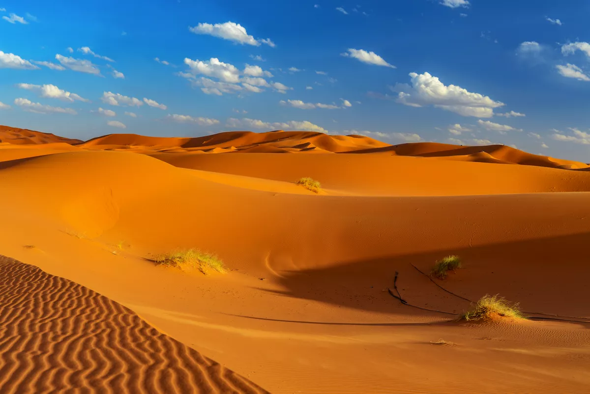 Dünen der Sahara bei Erfoud in Marokko - © Marc Jedamus - stock.adobe.com