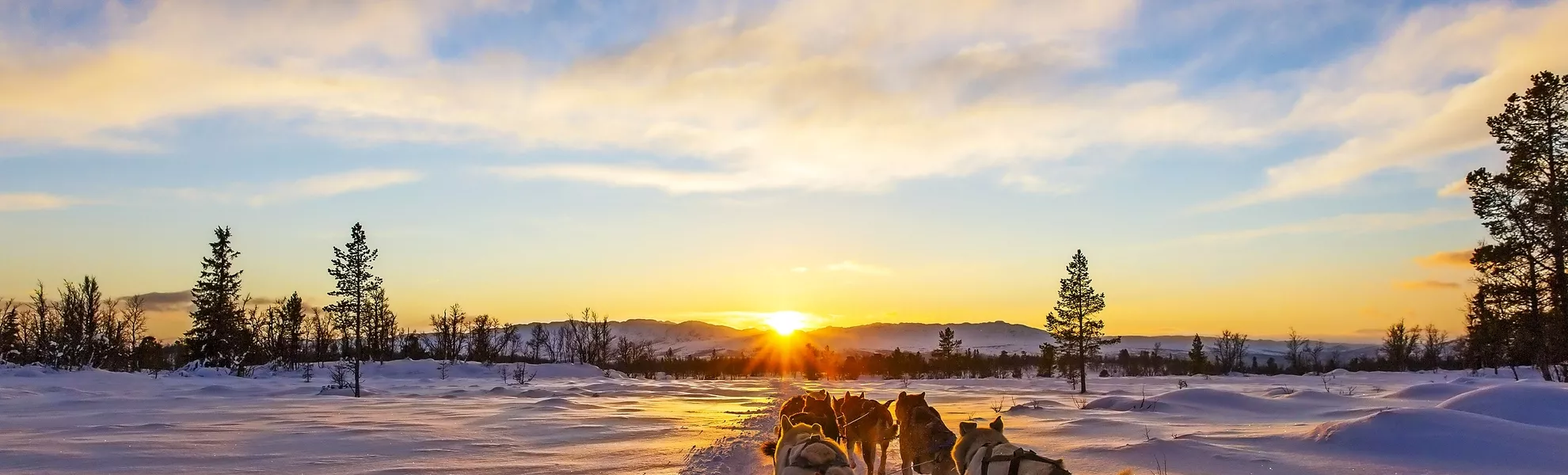 Hundeschlittentour - © kjekol - Fotolia