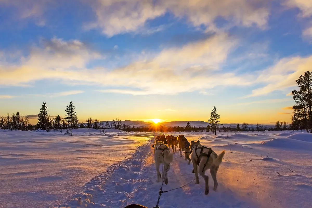 Hundeschlittentour - © kjekol - Fotolia