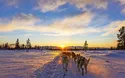 © kjekol - Fotolia