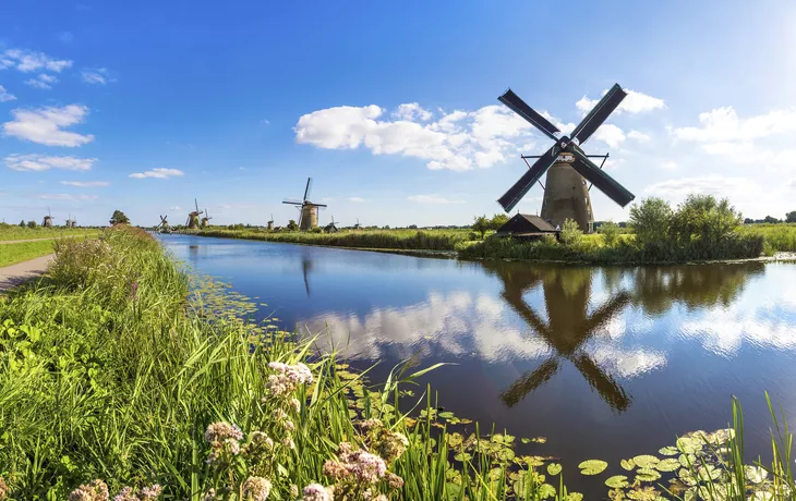 © Sergii Figurnyi - stock.adobe.com - Windmühlen von Kinderdijk