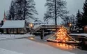 © Bomenius - stock.adobe.com