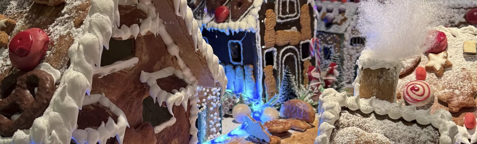 Weihnachtsdekoration Thurgau Chopin - Monika Theiler