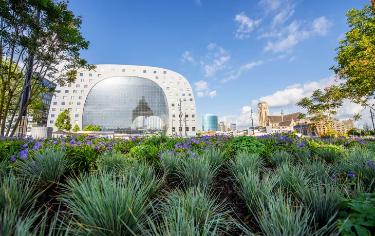 © rh2010 - stock.adobe.com - Blick auf den zentralen Platz und die Markthalle am Vormittag in der Stadt Rotterdam