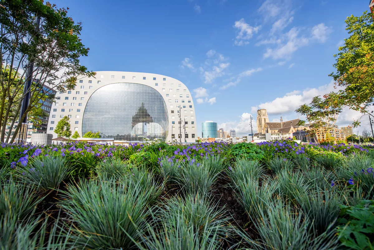 Blick auf den zentralen Platz und die Markthalle am Vormittag in der Stadt Rotterdam - © rh2010 - stock.adobe.com
