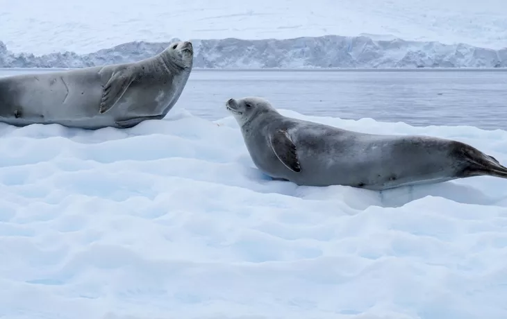 7. Kontinent - Antarktis