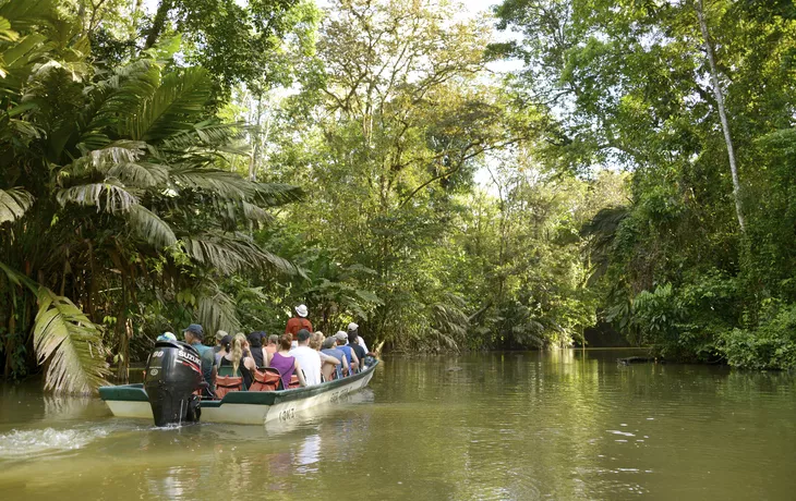 Tortuguero - ©                                                       