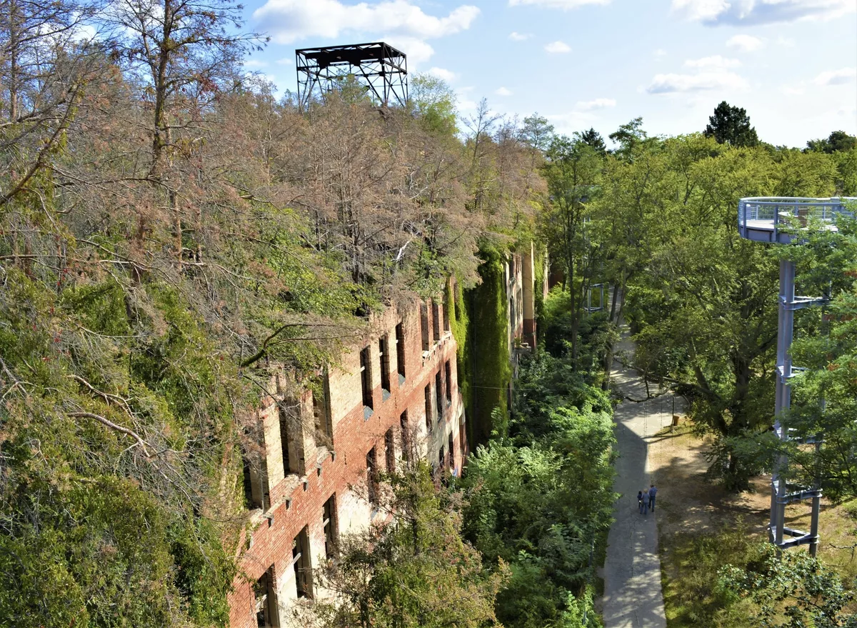 Baumwipfelpfad Heilstätten Beelitz