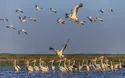 © porojnicu - Fotolia
