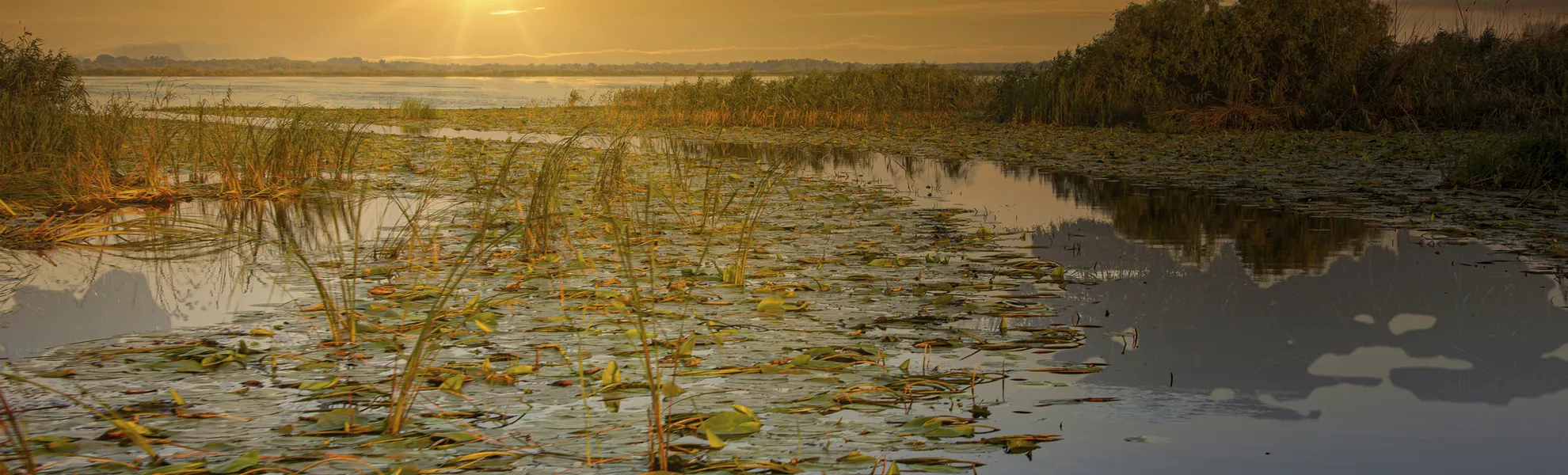 Abendstimmung im Donaudelta - © Frank - stock.adobe.com