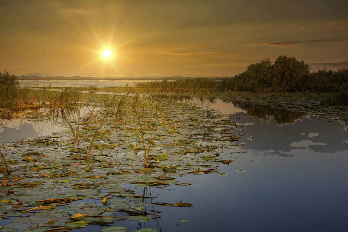 Abendstimmung im Donaudelta - © Frank - stock.adobe.com
